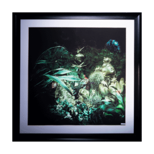 Fotografia Enmarcada de 110 cm de alto x 112 cm de ancho