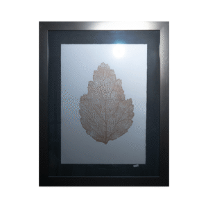 Grabado Enmarcado Tree Leaf - Elegancia Natural (77x97 cm)