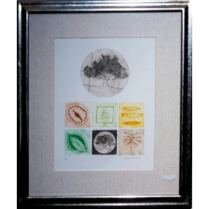 Enmarcación Botanica por Paula Marinovic (55x64.5 cm)