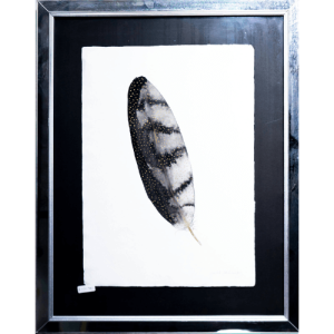 Obra de Arte: Pluma Negra enmarcada (45.5x57 cm)