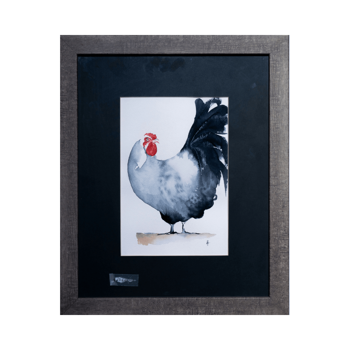 Acuarela de Gallo de Autor Desconocido (30x45 cm)