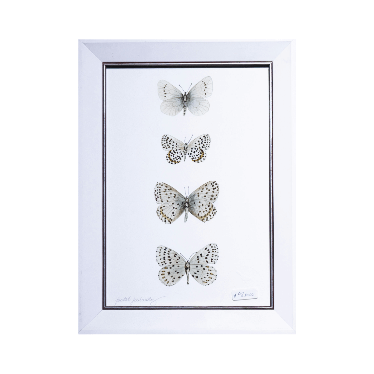 Vintage Display Case con Tres Especímenes de Mariposas en Marco Blanco (26x35 cm)