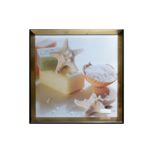 Colección de Jabones de Estrella de Mar (27.5x27.5 cm)