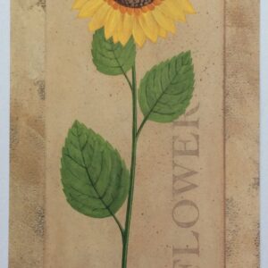 Lámina de Arte - Sun Flower (10x25 cm)