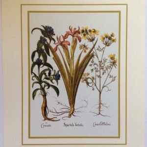 Pintura Abstracta - Vibraciones Coloridas (80x60 cm)