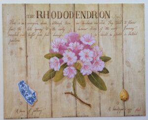 Pintura Abstracta - Vibraciones Luminosas (60x50 cm)