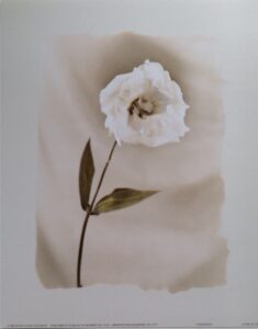 Pintura Abstracta - Vibrant Colors (60x80 cm)