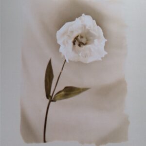 Pintura Abstracta - Vibrant Colors (60x80 cm)