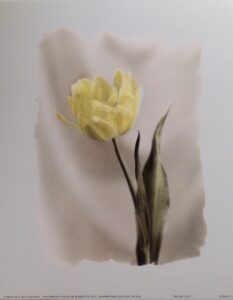 Grabado Digital Intervenido - Monos Totoy Zamudio (100x73 cm)