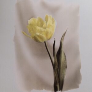 Grabado Digital Intervenido - Monos Totoy Zamudio (100x73 cm)