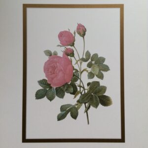 Lámina de Arte Floral - Vibrantes Flores (20x25 cm)