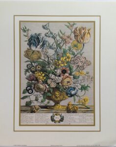 Lámina de Arte Flores - Spring (20x25 cm)