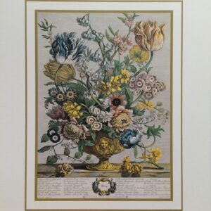 Lámina de Arte Flores - Spring (20x25 cm)