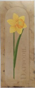 Daffoil Tones - Laminas de Arte Floral (10x25 cm)