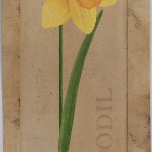 Daffoil Tones - Laminas de Arte Floral (10x25 cm)