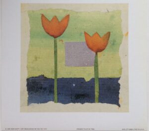 Lámina de Arte Tinu - Orange Tulip (20.5x20.5 cm)