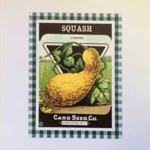 Lámina de Arte 'Summer Squash' - 25.5 x 35.5 cm