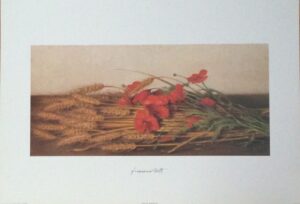 Lámina de Arte Flores – Franco Beth (50x35 cm)