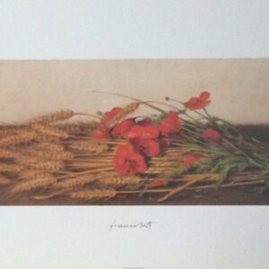 Lámina de Arte Flores – Franco Beth (50x35 cm)