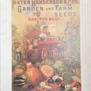 Pintura Abstracta de Max Posa - Vibrante Color (60x80 cm)