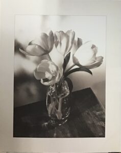 Obra de Totoy Zamudio - Monos Coloridos (100x73 cm)