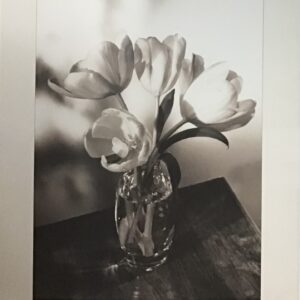 Obra de Totoy Zamudio - Monos Coloridos (100x73 cm)