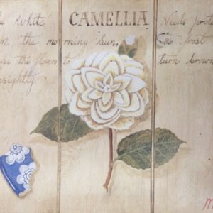 The White Camelia - M. Gordon (50x40 cm)