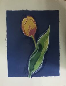 Pintura Abstracta Colorida - Estilo Moderno (80x60 cm)