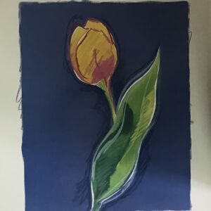 Pintura Abstracta Colorida - Estilo Moderno (80x60 cm)