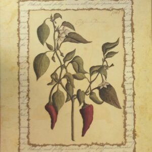 Van Blazzberry Candle - Aromatic Home Series (4oz)