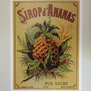 Lámina SIROP DÀNANAS - Arte Frutas (40x50 cm)