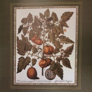 Lámina de Arte - Tomato Lucto (40x50 cm)