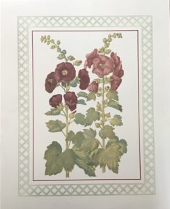 Lámina de Arte Flores - Hollyhocks (40x50 cm)