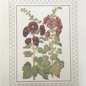 Lámina de Arte Flores - Hollyhocks (40x50 cm)