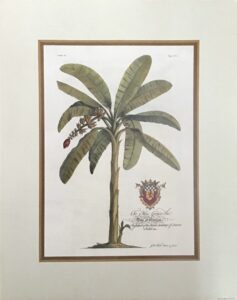 Grabado Digital Intervenido - Totoy Zamudio (100x73 cm)