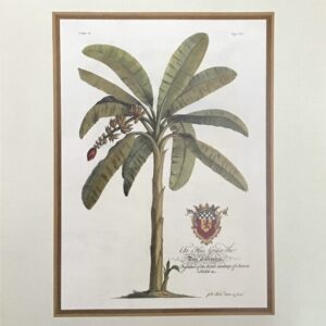 Grabado Digital Intervenido - Totoy Zamudio (100x73 cm)