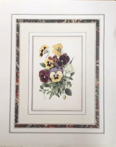 Bouquet of Pansies II - 40x50 cm