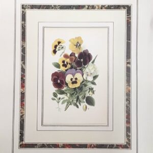 Bouquet of Pansies II - 40x50 cm