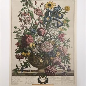 Lámina de Arte - JUNE (40x50 cm) - Flores de Robert Furber