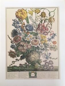 LAMINA MARCH - Robert Furber (40x50 cm) - Arte Floral