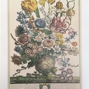 LAMINA MARCH - Robert Furber (40x50 cm) - Arte Floral