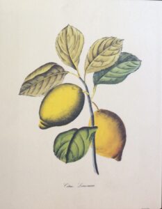 Obra de Totoy Zamudio - Grabado Digital Intervenido (100x73 cm)