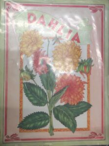 Dahlia de Nuova - Laminado Decorativo (24x30 cm)