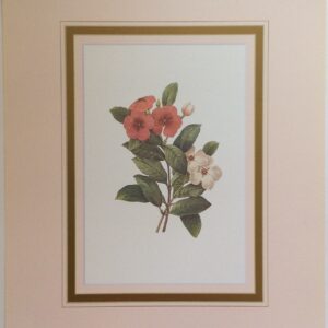 Lervenche - Lámina de Arte de J. Reditúe (20x25)