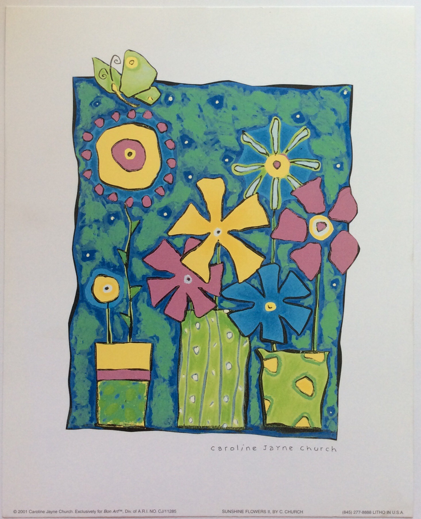 Shushine Flower II - C. Chuncha (20x25 cm)
