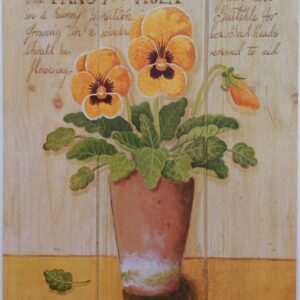 Lámina de Arte - The Pansy de M. Gordon (20x25 cm)