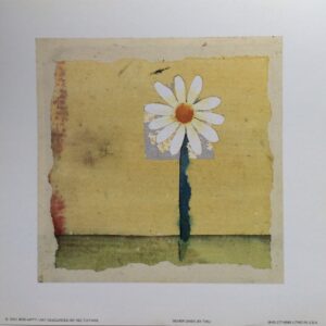 Lámina de Arte - Silver Daisy (20.5x20.5 cm)
