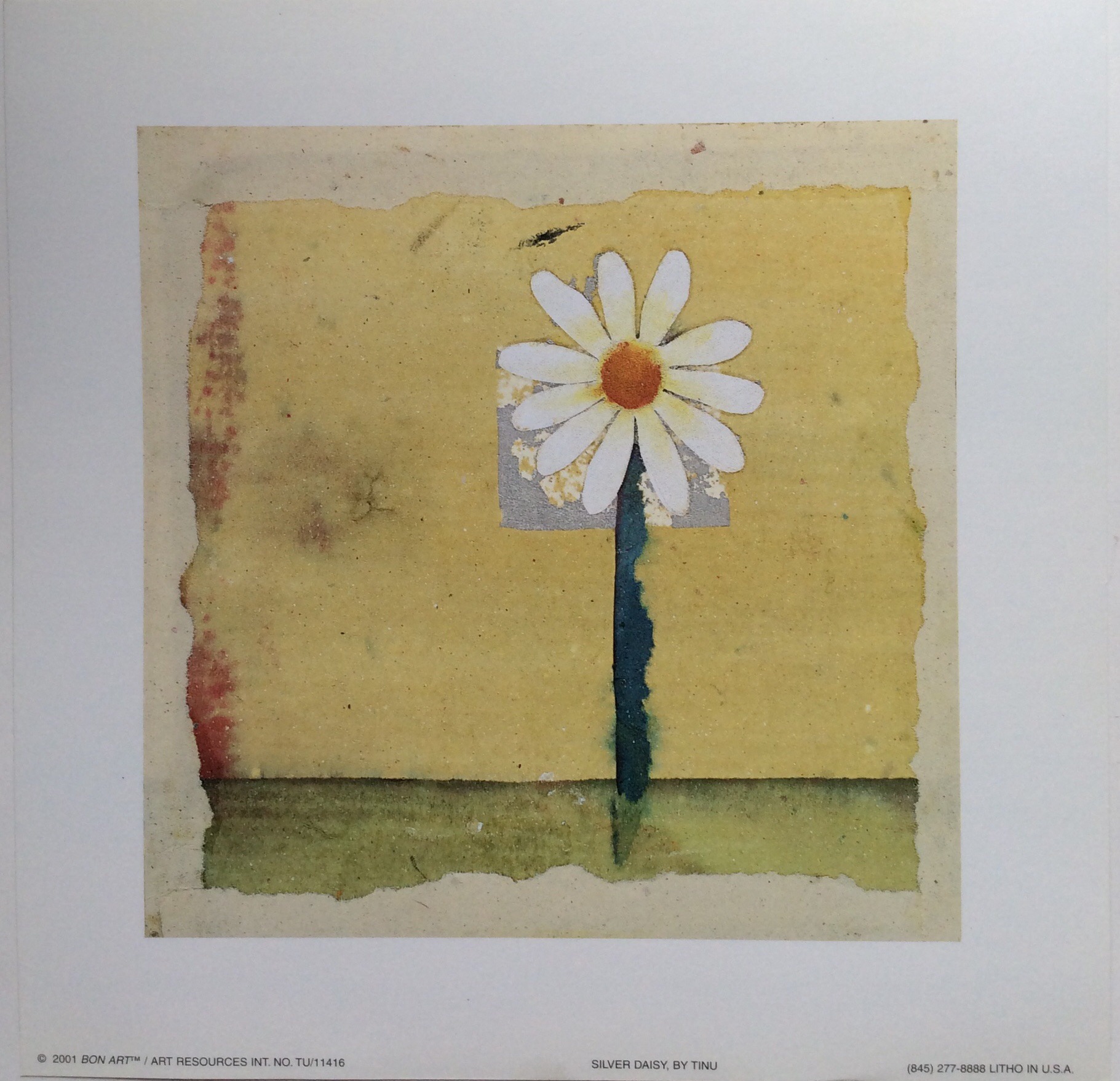 Lámina de Arte - Silver Daisy (20.5x20.5 cm)