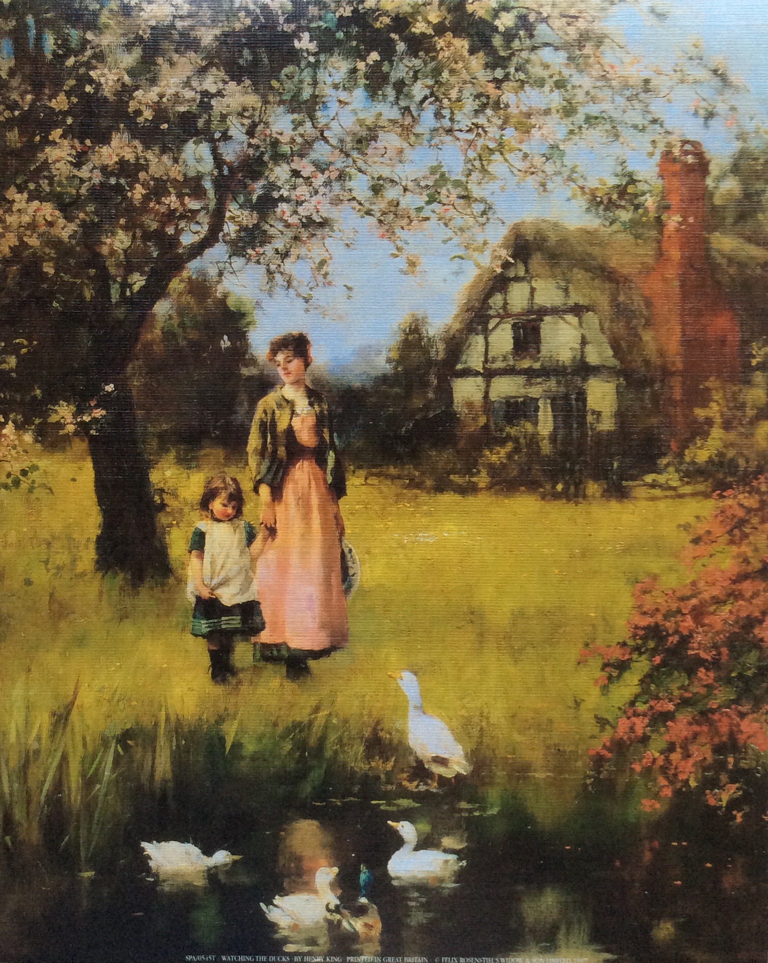Lámina Clásica - Watching de Ducks (20x25 cm)