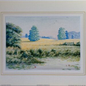 Water Meadow - Richard Akerman (25x20 cm) - Arte Clásico